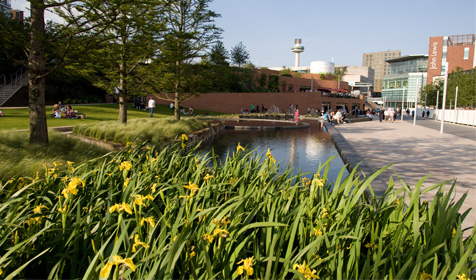 Chavasse Park, Thomas Steers Way